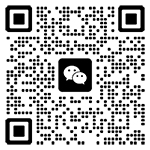the qr code